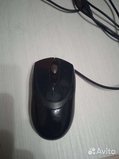 Мышь
