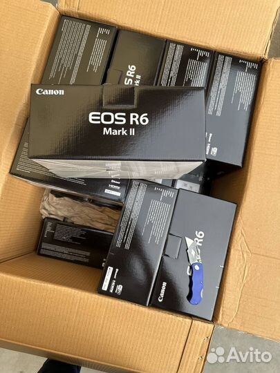 Canon eos r6 mark ii body меню русский