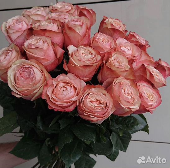 Цветы Розы для девушки