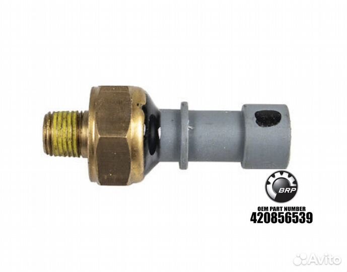 Оригинальный датчик давления масла BRP 420856539
