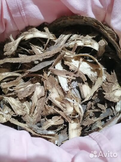 Травы полезные для здоровья