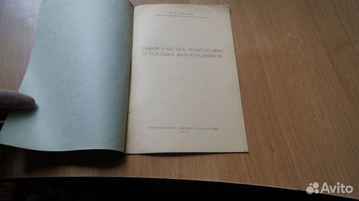 Выбор участка подготовка и посадка винограда 1957