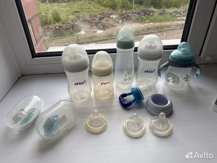 Молокоотсос