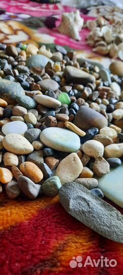 Для аквариума