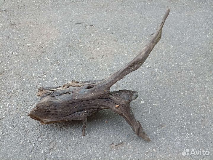 Коряги для аквариума/террариума