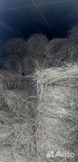 Продам сено в рулонах