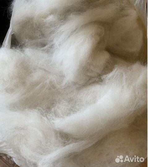 Продам шерсть самоеда всего 500гр
