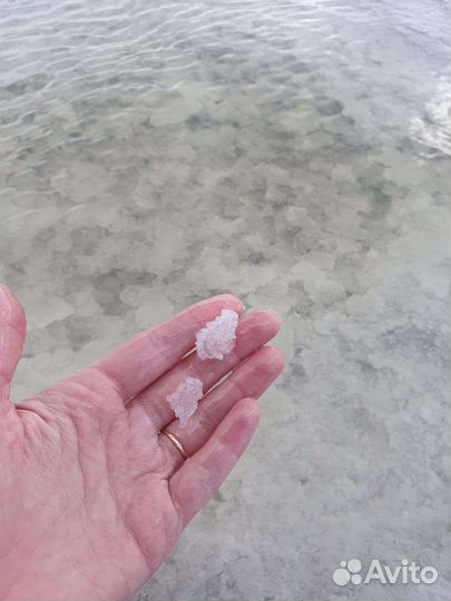 Соль (о.Бурсоль) Алтайский край