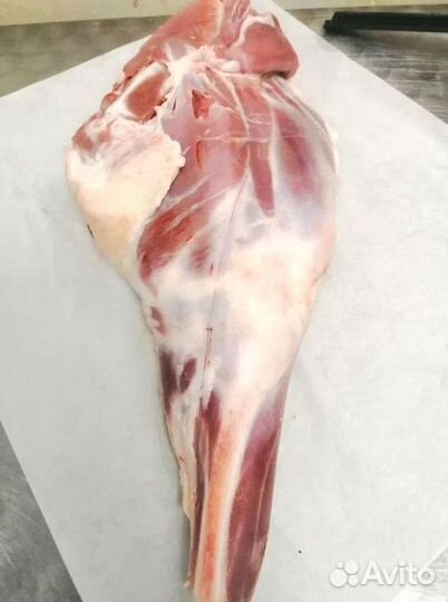 Мясо баранина свежая