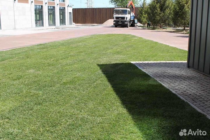 Рулонный газон от производителя