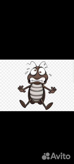 Травить тараканов, уничтожение клопов, дезинсекция