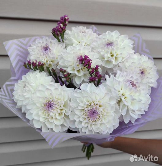 Георгины, срезка, букет