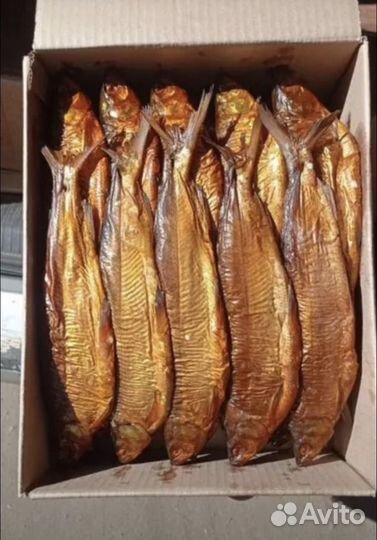 Рыба копченная, Сиг Из Армении,Свежий,опт/розница