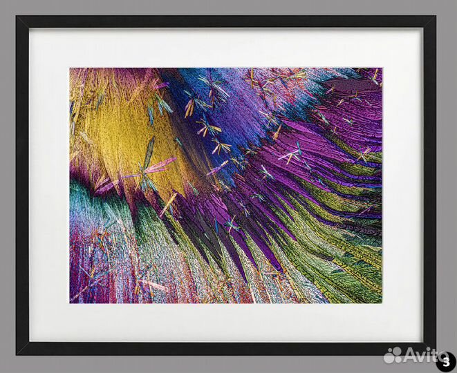 Фотографии