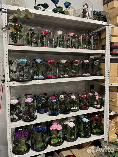 Вечная роза в колбе