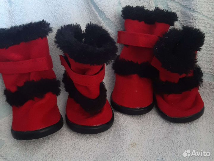 Обувь для собак мелких пород