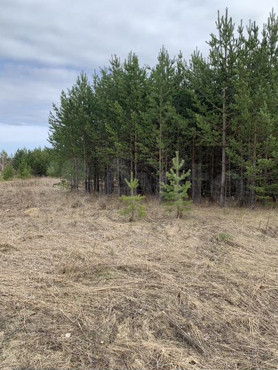 Участок 6,11 га (СНТ, ДНП)