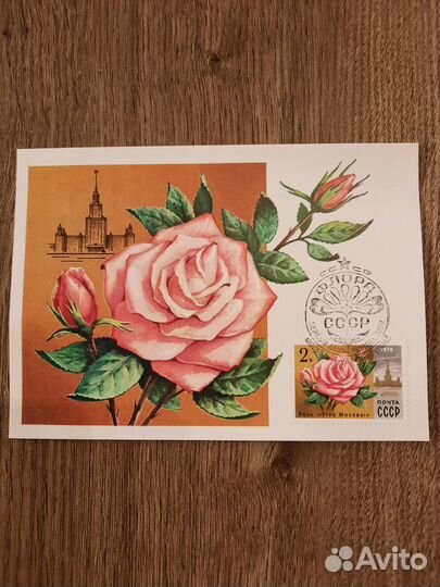 Картмаксимумы 