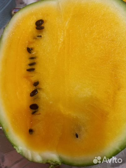 Семена желтого арбуза