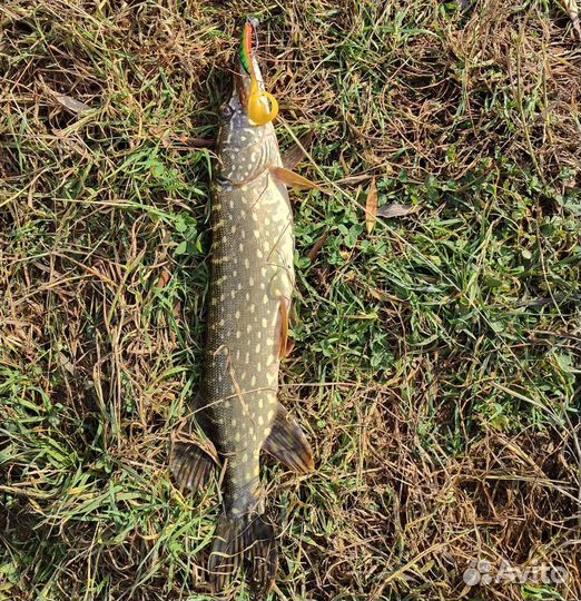 Силиколновая рыбка для рыбалки