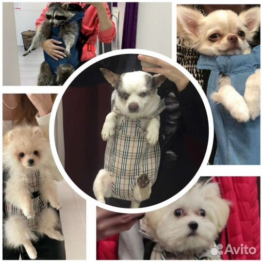 Рюкзак переноска кенгуру для щенков и кошек