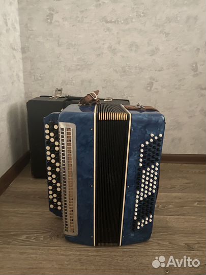 Баян вологодский