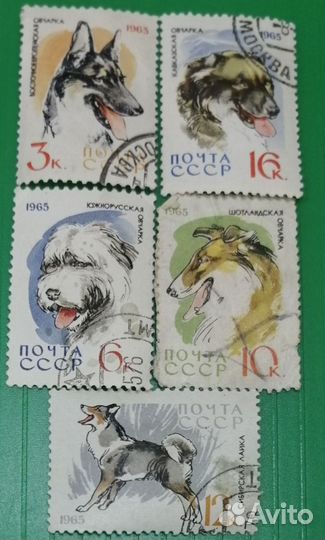 Почтовые марки СССР, ГДР, Куба и др от 5 р