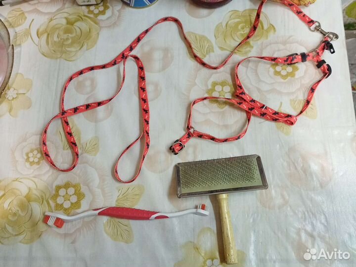 Шлейка с поводком, чесалка, щётка зубная