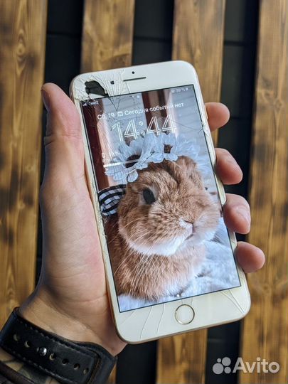 Замена стекла, ремонт iPhone iPad Android