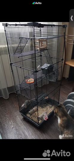 Клетки для грызунов крыс