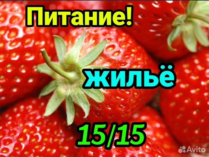 Работа Вахтой в Москве с Питанием Жильём Грузчик 1