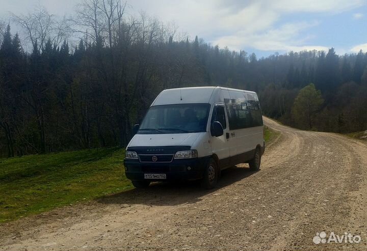 Микроавтобус Fiat Ducato 15 мест