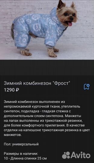 Комбинезон на маленькую собачку мальчика