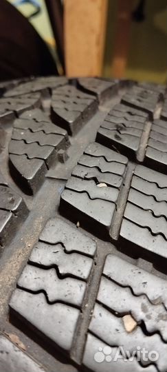 Tigar Winter 1 215/55 R17 98