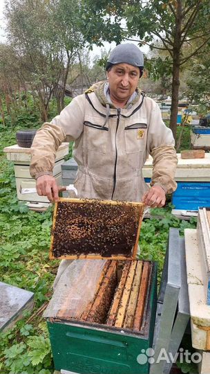 Натуральный мёд с собственной пасеки.Откачен 2023