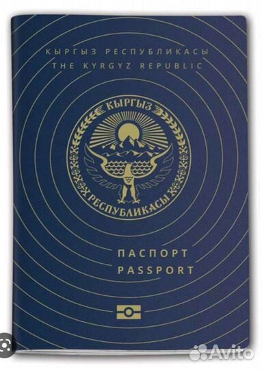 Гражданство Кыргызстана