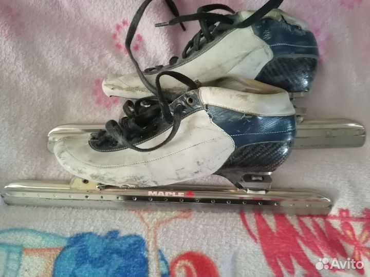 Конькобежные коньки maple
