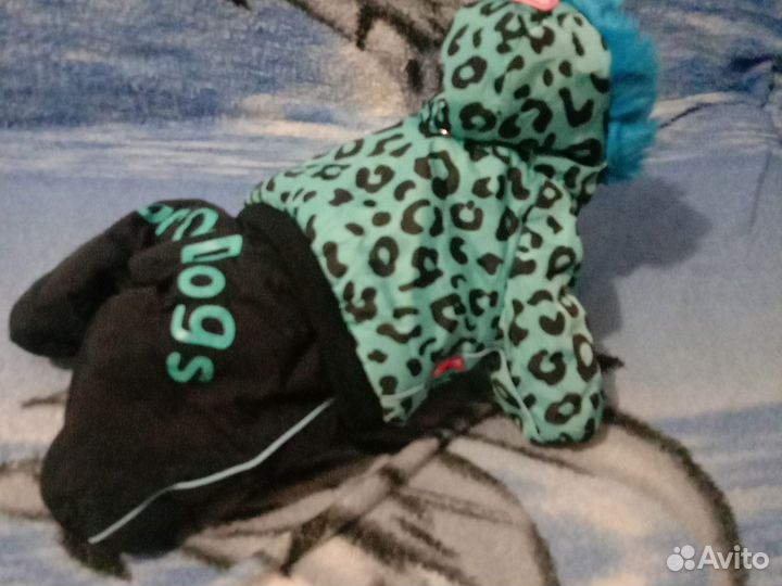 Зимний комбез для кобеля