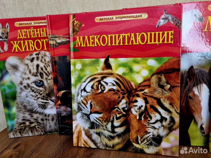 Детская энциклопедия росмэн