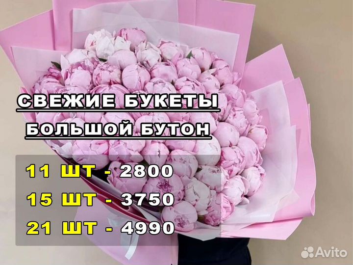 Пионы, цветы от производителя. Доставка 24/7