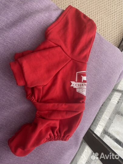 Одежда, шлейка, ошейник для собак