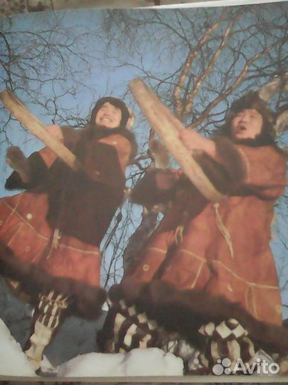 Книга северные зори