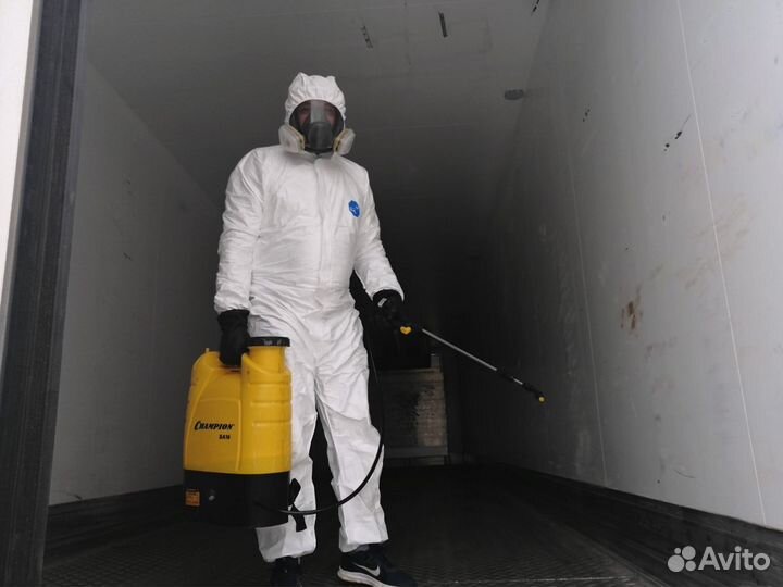 Дезинфекция, уничтожение тараканов