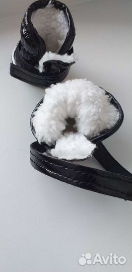 Ботиночки для маленькой собачки