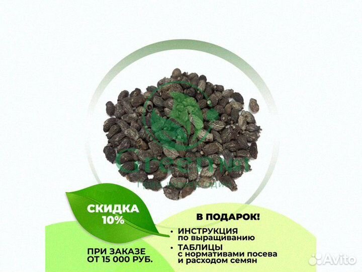 Качественная микрозелень