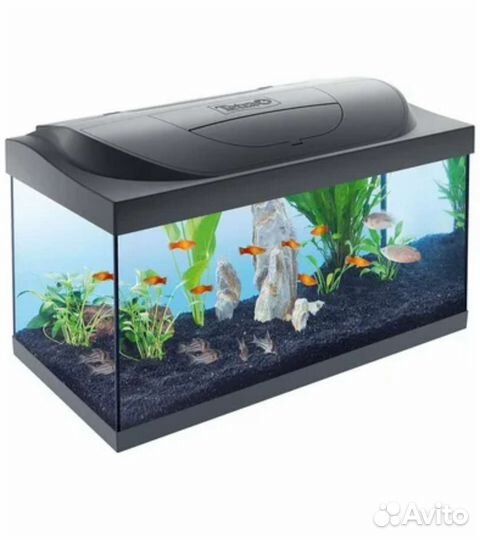 Аквариум Tetra Starter Line LED 54 л