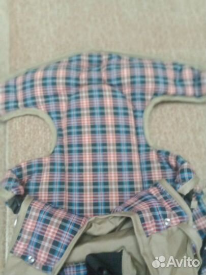 Кингурятник