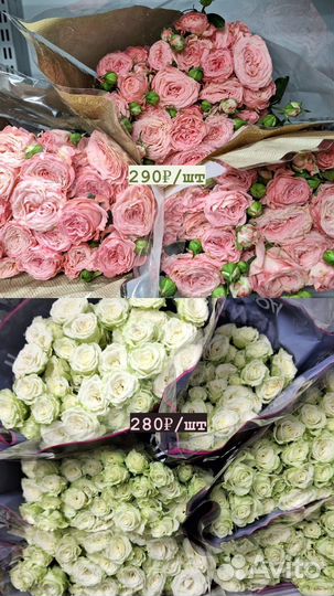 Кустовые пионовидные розы букет