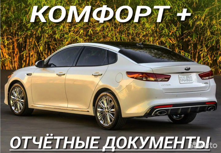 Муравленко - Сургут - Ноябрьск. transfer