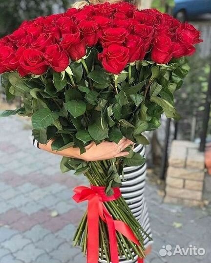 Высокие розы Гигантские розы Доставка цветов